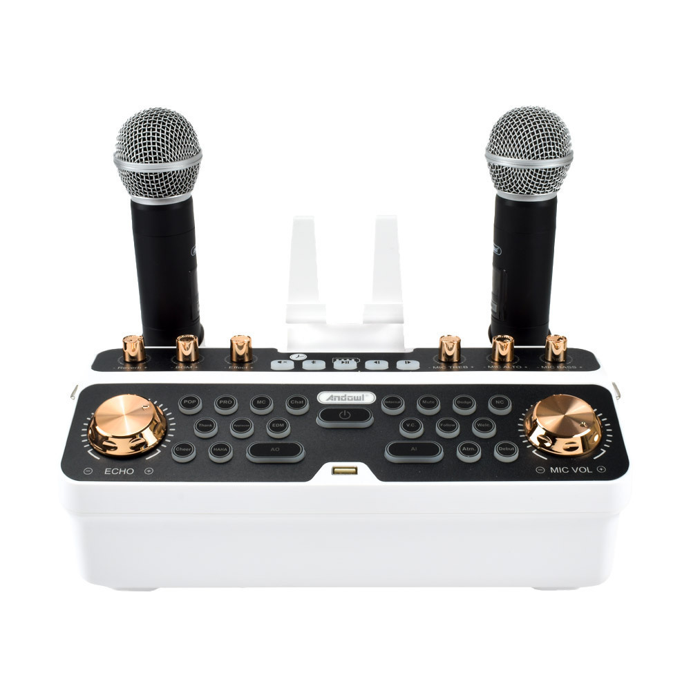 Andowl Σύστημα Karaoke με Ασύρματα Μικρόφωνα Q-SK6 σε Λευκό Χρώμα