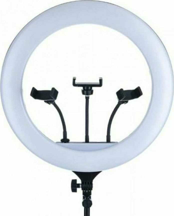 Andowl Q-1800 Q-1800 Ring Light 44cm 3200 - 5800K with Tripod Floor and Mobile Holder